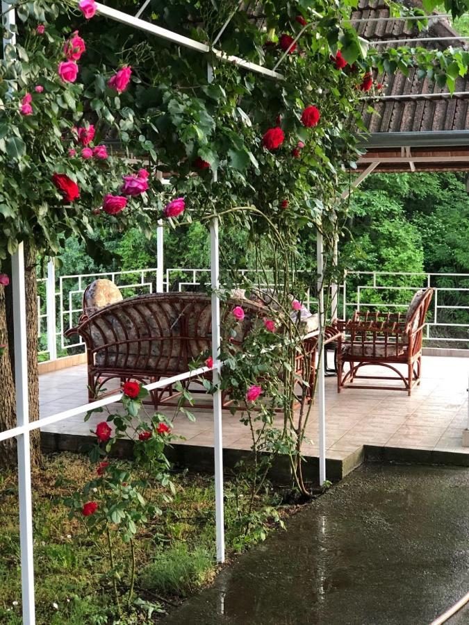 Villa Elita - Bela Crkva Bela Crkva  Esterno foto