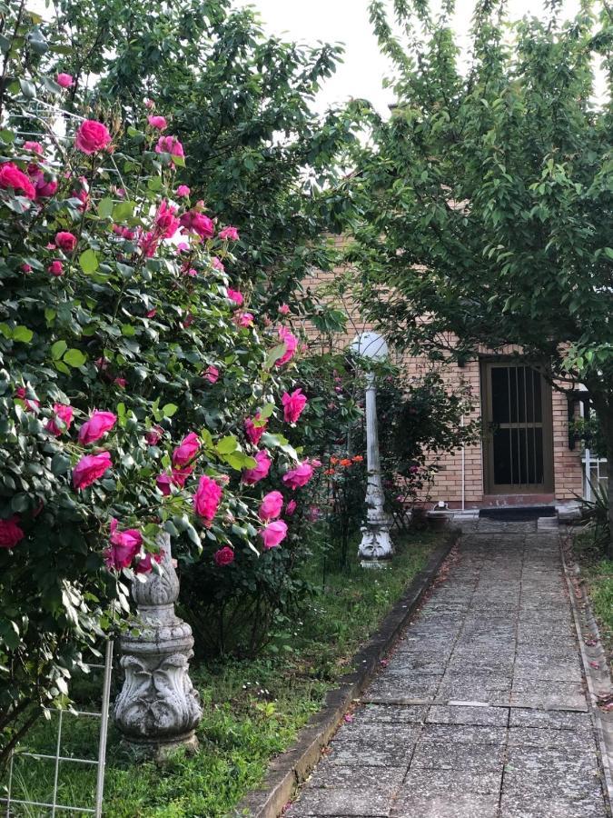 Villa Elita - Bela Crkva Bela Crkva  Esterno foto