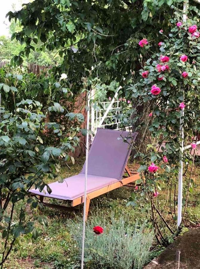 Villa Elita - Bela Crkva Bela Crkva  Esterno foto